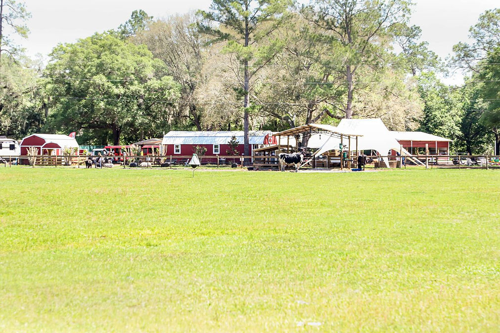 Covered Wagon Family Glamping at Animal Sanctuary (3).jpeg