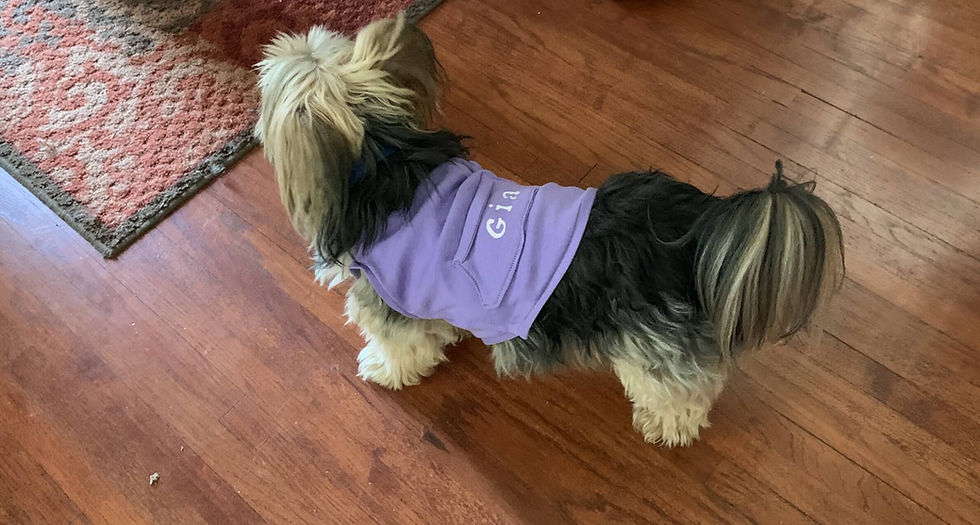 Lavender T-shirt with pocket