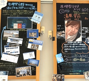 ドンツキ生理学通信Vol.6.jpg