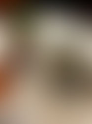 He who Drowned the World by Shelley Parker-Chan