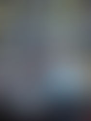 The American Boy by Andrew Taylor