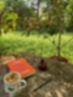 A copy of Talking to my Daughter about the Economy by Yanis Varoufakis lies on a stone seat in a garden. Next to it lies a cup of coffee, a leather pouch and a black pencil. Photo by Ninay Desai.