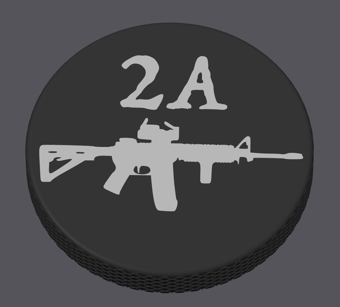 RIGHT TO BEAR ZYNS