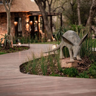 Dulini-Place-Of-The-Aarvark-Dulini-Private-Game-Reserve