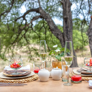 Dulini-Leadwood-Breakfast-Dulini-Private-Game-Reserve