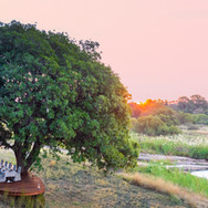 Dulini-River-sausage-tree-deck-Dulini-Private-Game-Reserve
