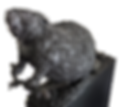 Beaver.png