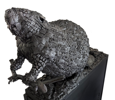 Beaver.png