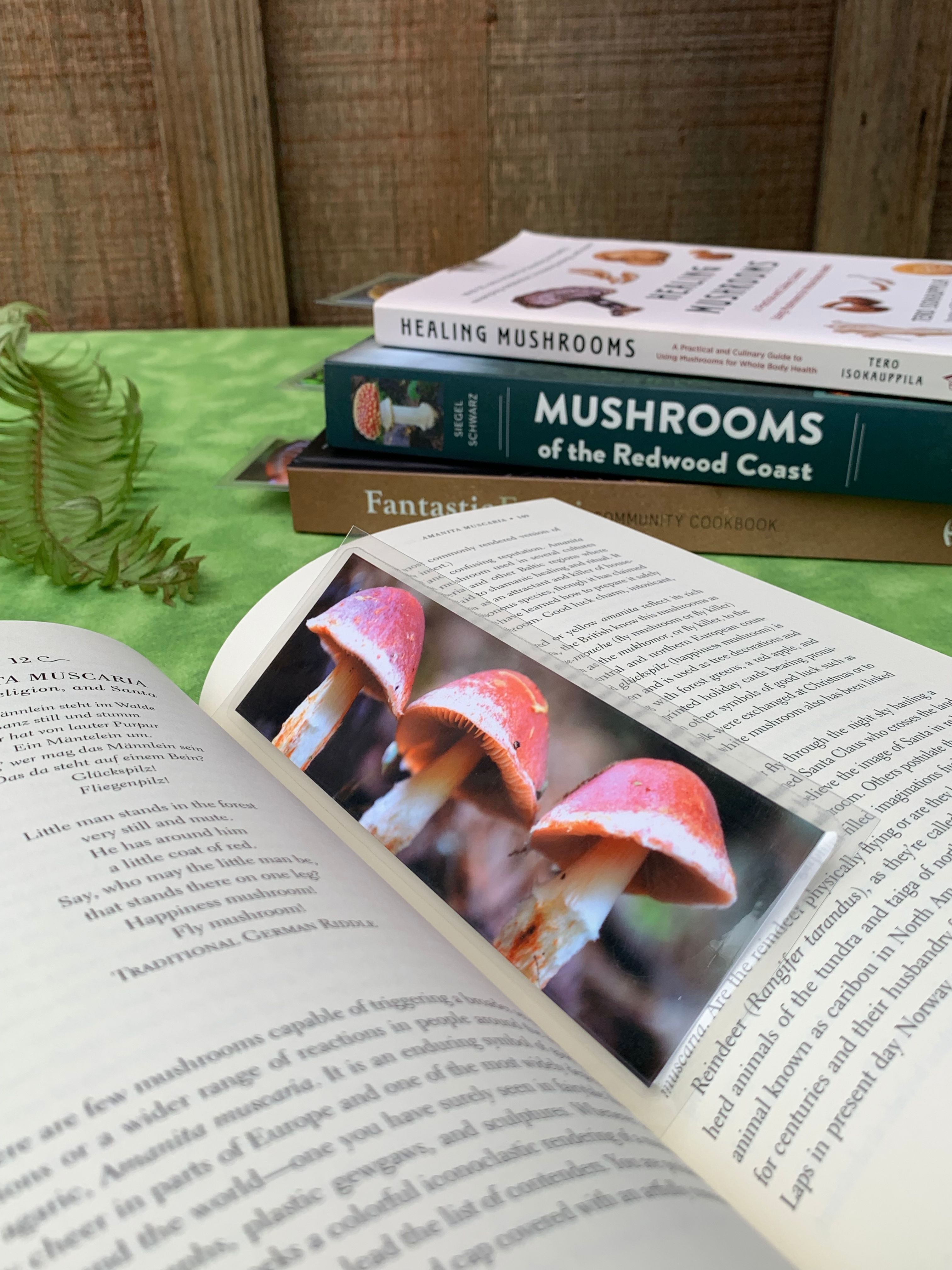 Bookmark - Chip Cherries Trio