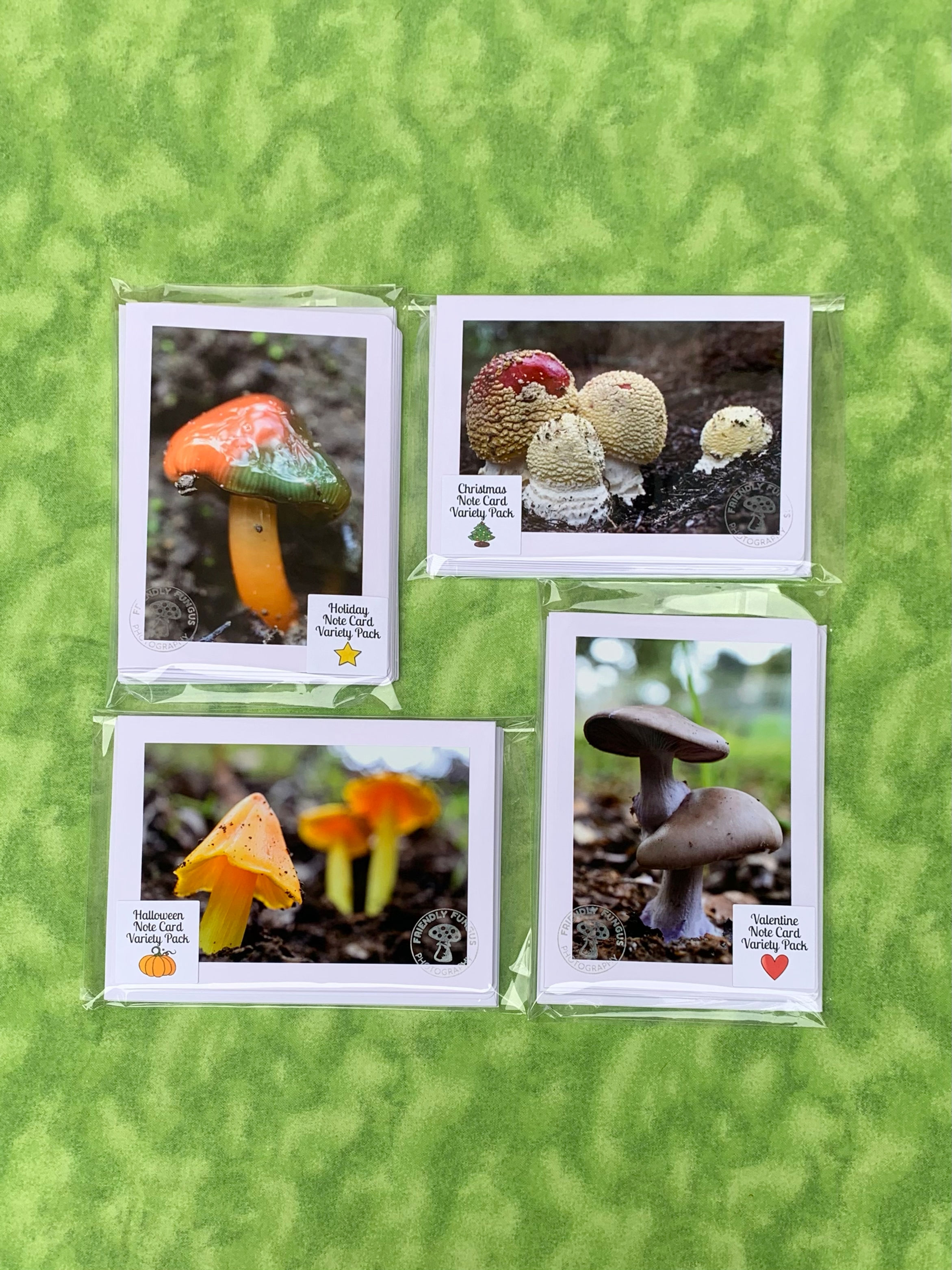 Note Card Variety Pack Bundle - Holiday Sets