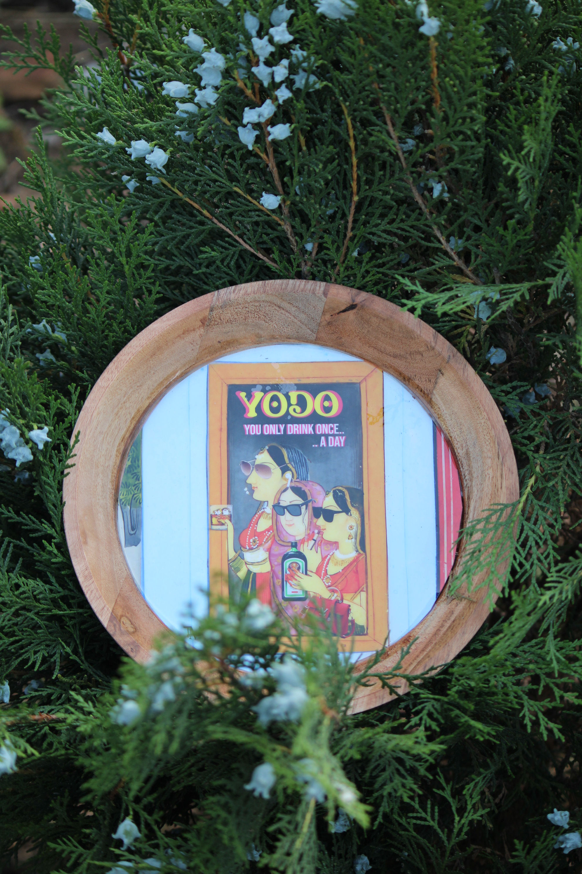 Morphed YODO Wooden Plate