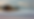 involved - background.png