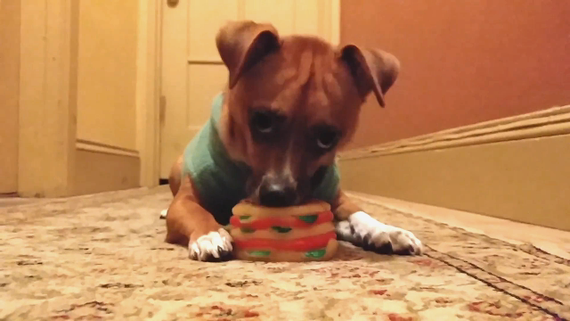 How to Destroy a Toy in One Minute