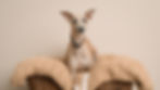 Calendar 2025-13_edited.jpg