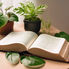 Do You Know the Author Whose Words are Life?