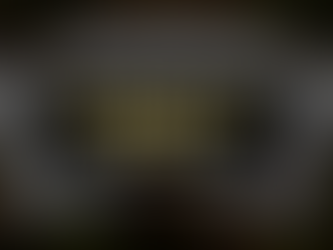 A fan of pages from a survey report. Overlaid is the text "The results are in – The 2025 Brave & Brilliant Business Owners survey"