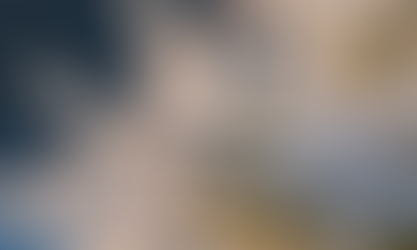 A close up of frozen fronds from a Christmas tree. The ice sparkles in the sunlight. To the left of the image are the words "Twelve Days of Quiet Confidence"