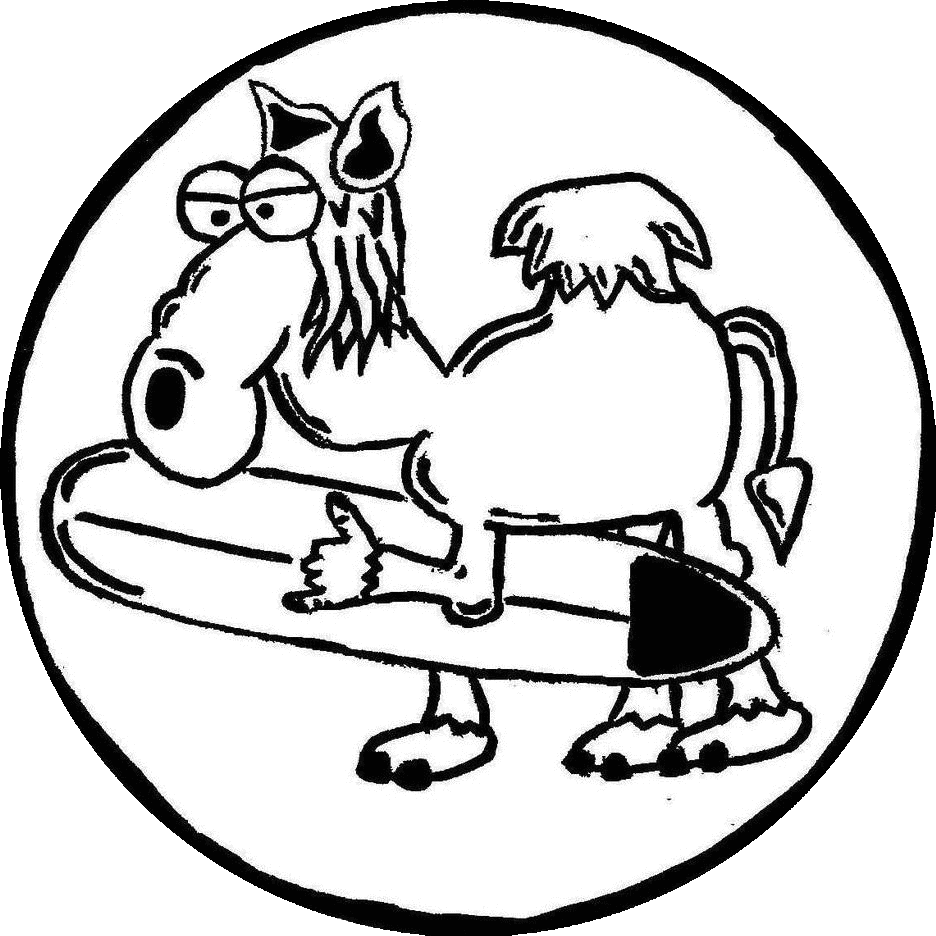 camel rock surf school