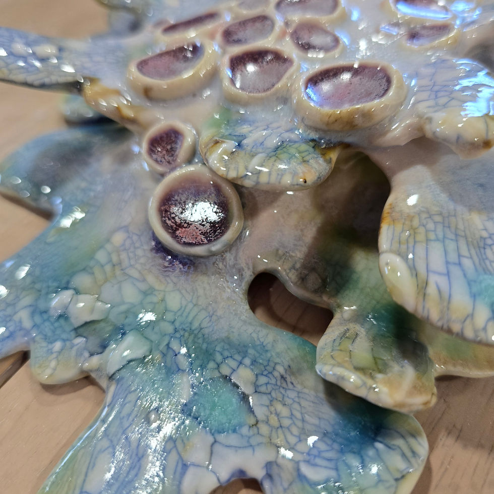 Thumbnail: Lichen Sculpture for your Wall