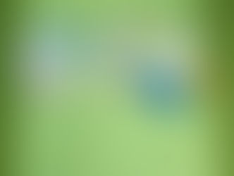 Dzień Kolorowej Skarpetki