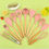 Thumbnail: 12 Piece Kitchen Silicone Utensil Set