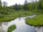 Old State Road.JPG