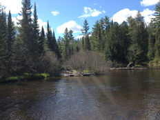 Chemical Pollution in the North Branch?