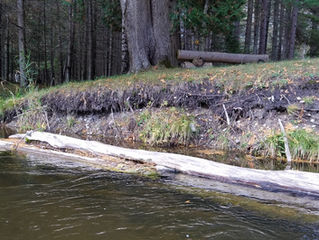 First Erosion Project Completed