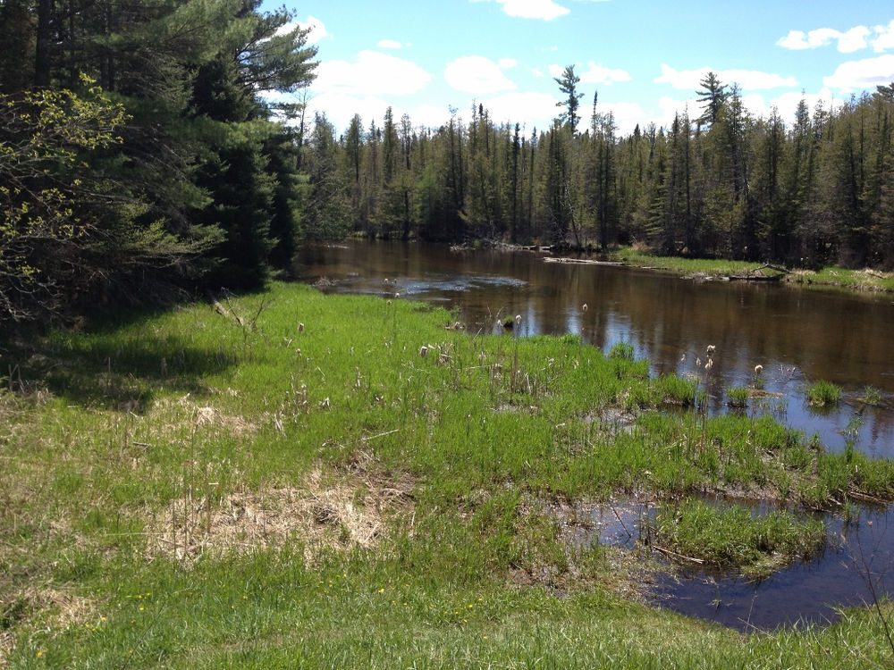 Trout Habitat Improvement Projects
