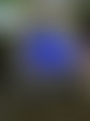 Como escolher o modelo ideal de piscina para o seu espaço: guia completo para tomar a melhor decisão