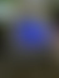 Como escolher o modelo ideal de piscina para o seu espaço: guia completo para tomar a melhor decisão