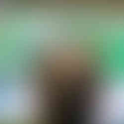 Executivas da ACIC em Canela