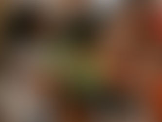 Como economizar morando em uma hospedagem compartilhada em Porto Alegre