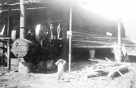 novalternativa_estacaocamposdecanella_almanaquecanela_joaocorrea_serrarias_caracol