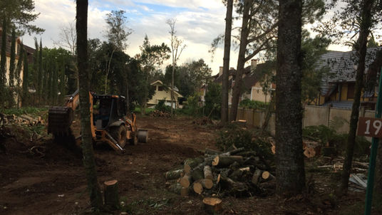 euroville_lajedepedra_inicio_terreno_arvores.jpeg