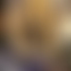 Qual a diferença entre incorporadora, construtora e loteadora - isso importa na hora da compra?