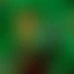 Entrada para o salão do Jantar Baile da ACIC em Canela