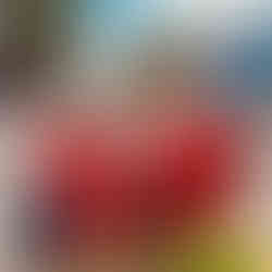 Premiação dos Bombeiros Mirins no evento Nos Trilhos da Magia 2025