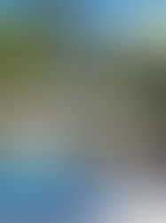 Piscina de fibra valoriza o imóvel? Veja quando o investimento realmente compensa