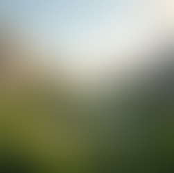 Bairro Serra Life Canela: um Wellness District de bem-estar e inovação