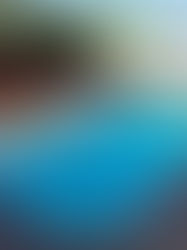 Piscina pequena: soluções inteligentes para pátios compactos