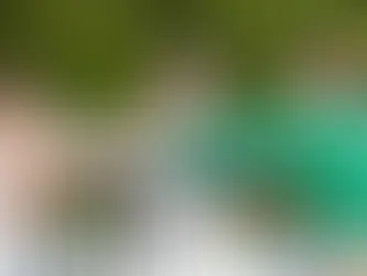 Best and Worst: Things to Live Beside