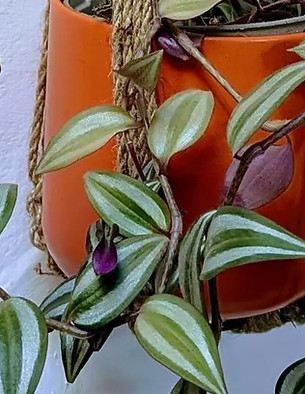 jute tassel free simple full_edited_edit