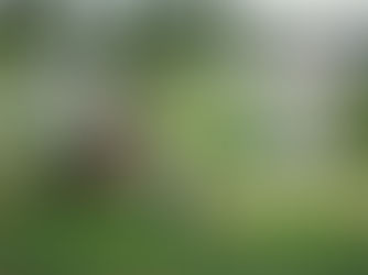 Experience the Power of Qi Gong: Activate, Feel, Restore