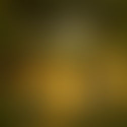 Yoga vs Pilates: Which One is Right for You?