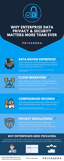 Why-Enterprise-Data-Privacy-Matters-More-Now.png