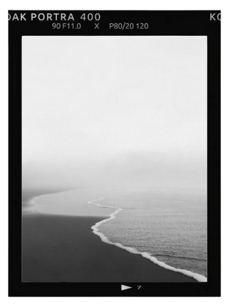 Crown of Honey Icon-19.png