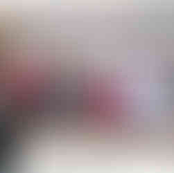 Spenden sammeln beim Tag des Wildes