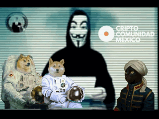 Anonimus perro y gato 1.gif