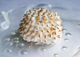 Edinburgh Evening News 8 - Baked Alaska 